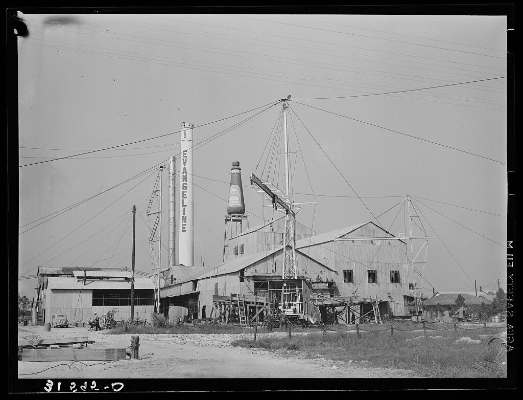 Evangeline Factory